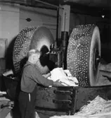 Säkerhetstjänst, kollergång.
En okänd man på bilden.