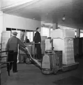 Säkerhetstjänst, truckar.
Två män med på bilden.