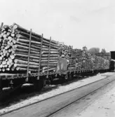 Säkerhetstjänst, transport - tåg.