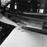 Säkerhetstjänst, klipp.