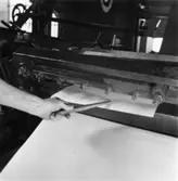 Säkerhetstjänst, klipp.