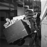 Säkerhetstjänst, transport - utskott.
En man med på bilden.