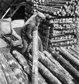 Säkerhetstjänsten, lossning av ved.
En okänd man.