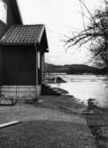 Maskinistbostaden Ö 65 B. Hedman vid regleringsdammen Ätrafors den 16 april 1951. Högvadsån gick här upp till kökstrappan och källaren vattenfylldes.