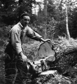 Skogsförvaltningen, diverse.
En okänd man.