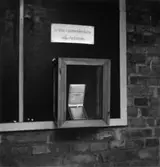 Fabriksvisning för anställdas anhöriga den 19 maj 1953.