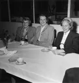 Fabriksvisning för anställdas anhöriga den 19 maj 1953.
Solveig Wallin, f. Sillén t.v.