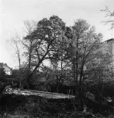 Byggnad N:o 6, tillbyggnad 1954. Schaktning.