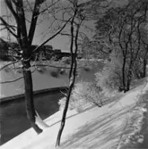 Papyrus fabriksområde vid ramverkstaden. Vinterbild.