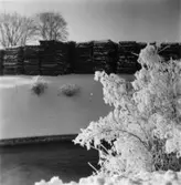 Papyrus fabriksområde vid ramverkstaden. Vinterbild.