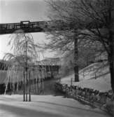 Mölndalsån vid ramverkstaden. Vinterbild.