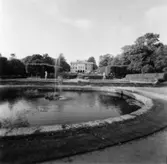 Reportage från pressvisningen den 29/8 1955.