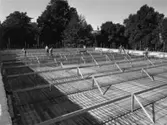 Byggnad N:o 6, tillbyggnad 1954. Gjutning av undertak.