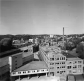 Papyrus fabriksområde.