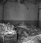 (?) från målmaskin nr 3. Utskott