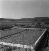 Åby egnahemsområde.