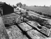 Papyrus Limited. Tillbyggnad 1956-1957.