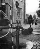 Brandskyddsövning på Papyrus, den 30/9-1958.