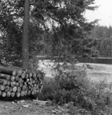 Forsa skogar. Norra delen av Ullasjön.