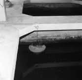 Detaljbild av vattenfilter på Papyrus, den 8/8-1961.