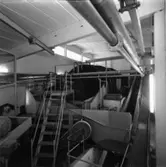 Nya renseriet på Papyrus, den 10/8-1961.