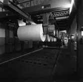 Rullstol nr 5.
Foto: Ynge Olsson, Håwi-Foto.