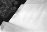 En kvinna sorterar papper vid manöverbordet vid målmaskin nr. 1 på Papyrus, 12/5-1970.

Fotograf: Rolf Salomonsson, Wezäta studio, Grafiska Vägen Box 5057, 
402 22 Göteborg 5 Växel 031/40 01 40
