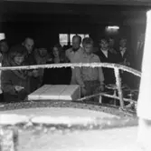 Fabriksvisning för anställdas anhöriga den 10/10 1970.