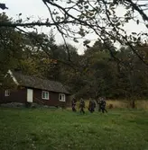 Papyrus, fältskjutning.