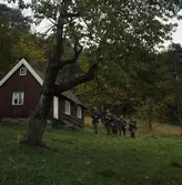 Papyrus, fältskjutning.