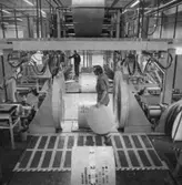 Interiörbild från Papyrus Nymölla AB. Rullpackning.