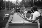Minigolfbanan vid Torrekulla turiststation i Kållered, år 1983.

För mer information om bilden se under tilläggsinformation.