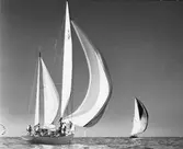 Havskappseglarna KR-S180 GLORIA (närmast)  och 13-1 GERMANIA V