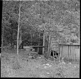 Vattenkvarn, Hallersbyn