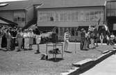 Fässbergsskolans elever firar Sveriges nationaldag i Mölndal, år 1983. Firande på Fässbergsskolans skolgård.

Fotografi taget av Harry Moum, HUM, Mölndals-Posten, vecka 23, år 1983.