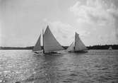 Oidentifierade gaffelriggade segeljakter. Båten till höger i bild är troligen BLENDA byggd 1896.