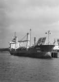 VISTEN cob-fartyg (container-olja-bulk)