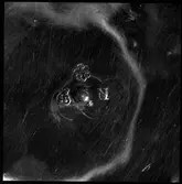 Vänersborg, Vänersborgs kyrka.
Inventering av föremålen i kyrkan.