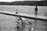 Simskoleundervisning vid Talluddens badplats, Västra Ingsjön i Lindome, år 1983.

För mer information om bilden se under tilläggsinformation.