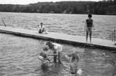 Simskoleundervisning vid Talluddens badplats, Västra Ingsjön i Lindome, år 1983.

För mer information om bilden se under tilläggsinformation.