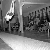 Gymnastiktävling i Huskvarna idrottshus.