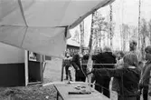 Lindome Bågskytteklubb anordnar poängpromenaden Gåsajakten i Lindome, år 1983. Bågskytte.

Fotografi taget av Harry Moum, HUM, Mölndals-Posten, vecka 46, år 1983.
