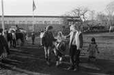 Lindome centrum firar 10-årsjubileum, år 1983. Ponnyridning.

För mer information om bilden se under tilläggsinformation.