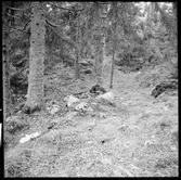 Fornborg Vänge Håbol