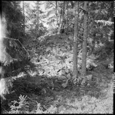 Fornborg Vänge Håbol