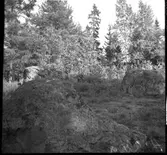 Fornlämning - Skeppsättning. Vammen