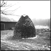 Vedstack. Lagmansered