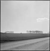 Lennart Torstenssons monument.