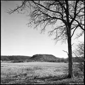 Halleberg fotograferat från Rånnums ekdungar.