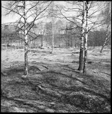 Fornlämning på Prästgården i Västra Tunhem.